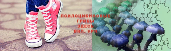 эйфоретик Бугульма