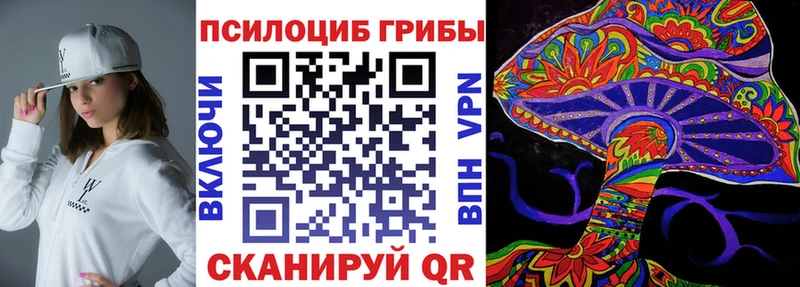 Псилоцибиновые грибы Psilocybine cubensis  нарко площадка состав  Ковылкино  даркнет сайт 